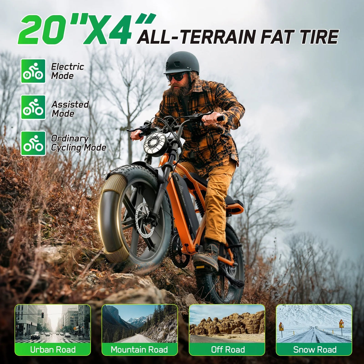 TST Electric Bike for Adults, 750W Peak 1500W Motor, 20"x4" Fat Tire, E Mountain Bike, 48V/15AH UL2849 - Product image 19